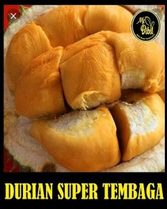 Durian Super Tembaga
